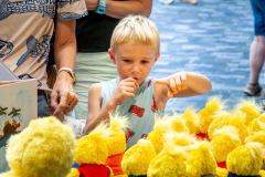 Build-a-Bird-Resized-14