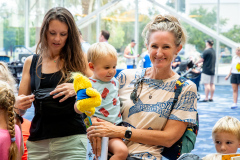 Build-a-Bird-Resized-15