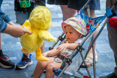 Build-a-Bird-Resized-16