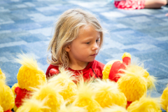 Build-a-Bird-Resized-3